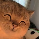 大事狠miao～