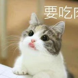 Z姑娘世界地图