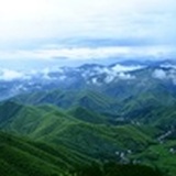 清新世界
