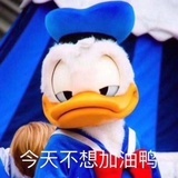 兜兜猪