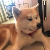 淼淼小盆友