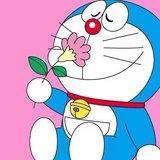 小肖苹果