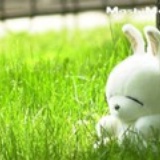 她说她只是蝴蝶