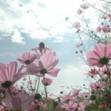 霖泠