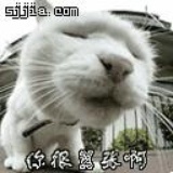 大侠吕小远