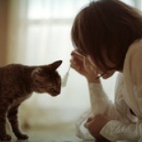 知足小姐财迷猫