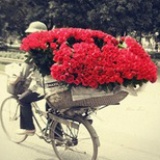 Amor_E