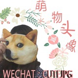 鱼有鱼