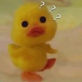 我在看谁