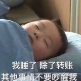 蜗牛or刺猬