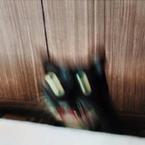 拖拉机557