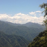亦楠