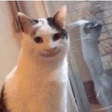 (●'◡'●)