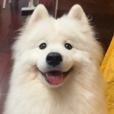 深qq