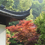 大宝月