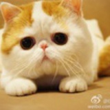 漫漫