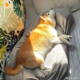 你管我呢