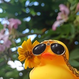 盐之有物