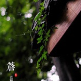 姗迟