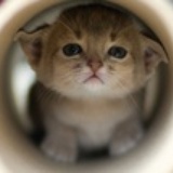 慧子、