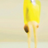 优与雅