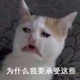 起风了
