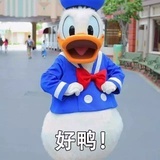 渐渐之石