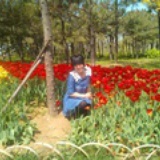 小小L.E