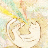 嫁给狼的猫