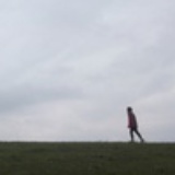子非大诚