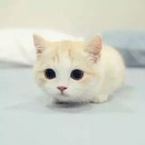 抵不过的年华
