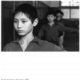 瘦杆狼--M头