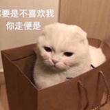 你的ballball