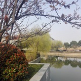土博李飞飞