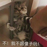 盗城