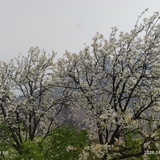 二手时间