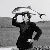 拔拔鸡