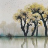 清欢