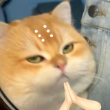 EEEEEeeeee