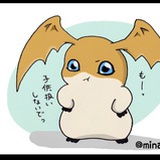 Katie_Z