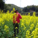kill 奴隶