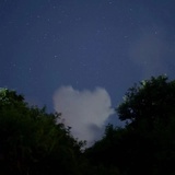 己注消