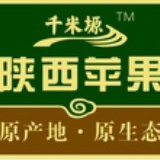 陕西苹果千米塬