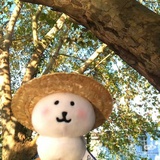 看天气预报了吗