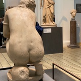 Stein