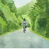胡杨林