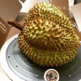 糖豆