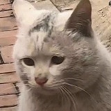 ヽ｀ヽ