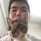 MR.Miao