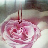 ❀時有女子